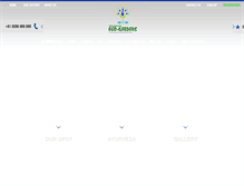 Tablet Screenshot of cegpepco.com